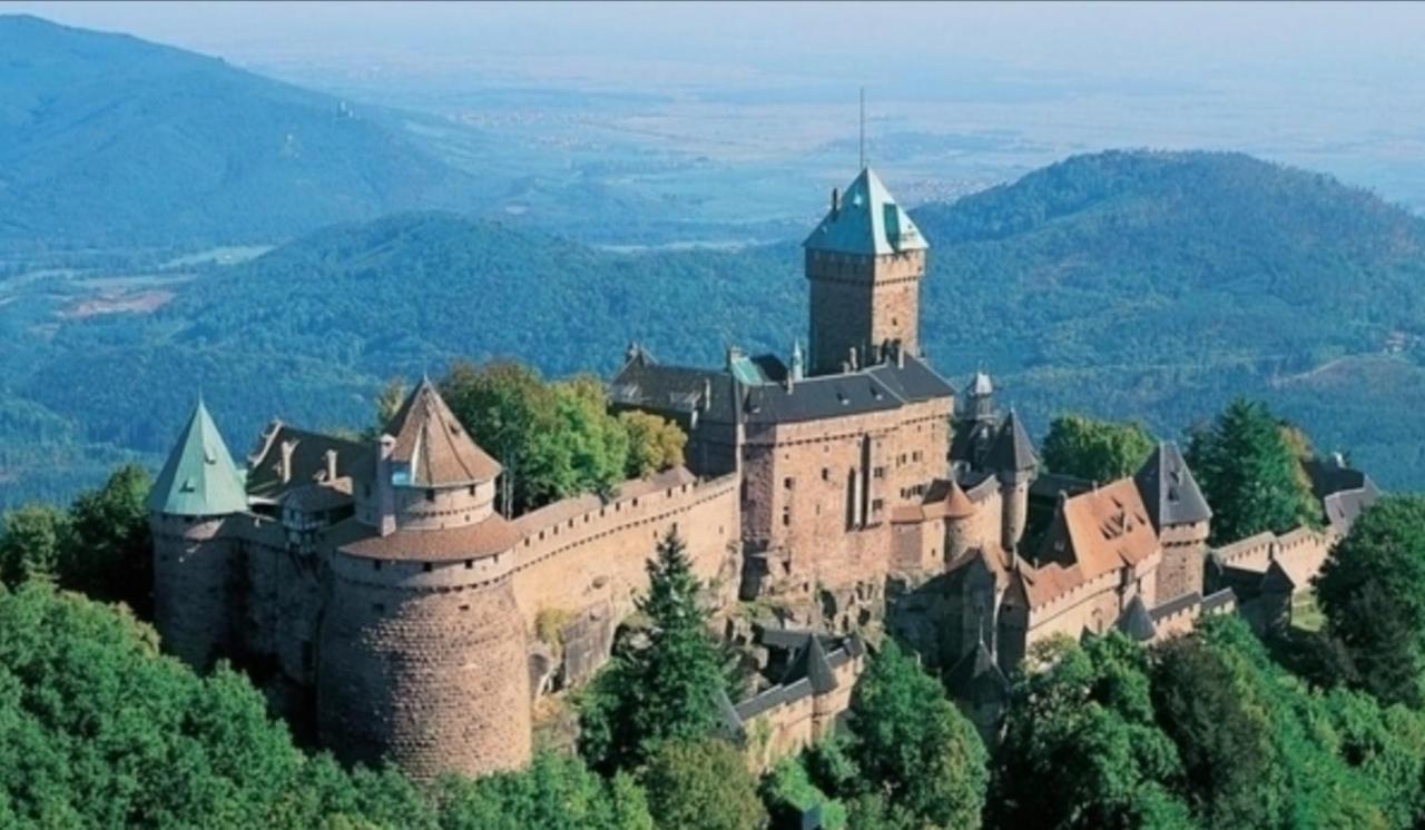 Апартаменты Cocon De Caractere Au Coeur Des Vignes Alsaciennes Бергхейм Экстерьер фото